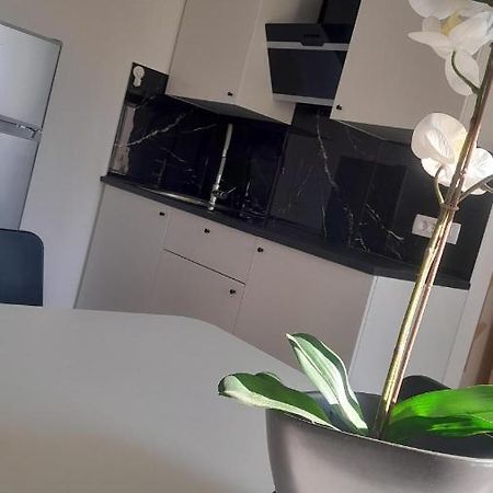 Apartma Ana 科佩尔 外观 照片