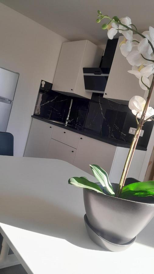 Apartma Ana 科佩尔 外观 照片